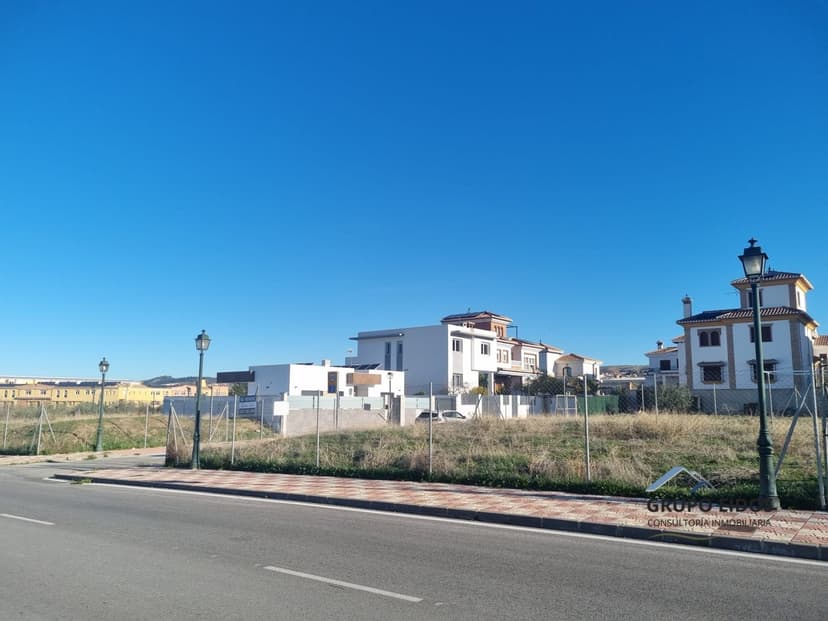Imagen 6